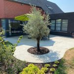stamp design patios